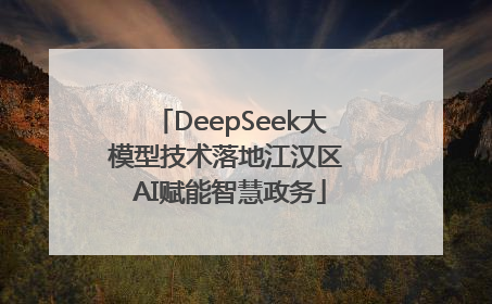 DeepSeek大模型技术落地江汉区 AI赋能智慧政务