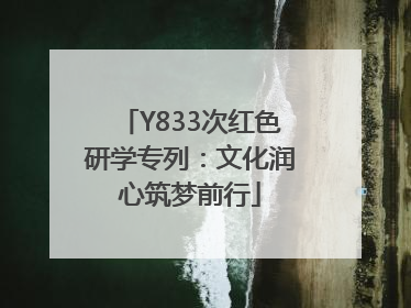 Y833次红色研学专列：文化润心筑梦前行